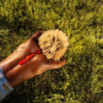 FAKE (feat. D Smoke) از Reggie Becton