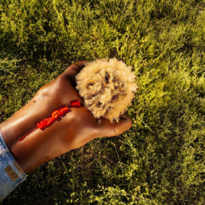 FAKE (feat. D Smoke) از Reggie Becton