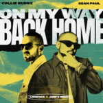 On My Way Back Home (LionFace & JonFX Remix) از Collie Buddz