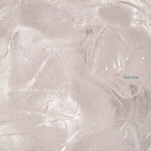 The Bug With Rainbow Wings از Conton Candy