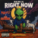Right Now (Remix) از Mindflip