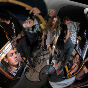 rooster از bar italia