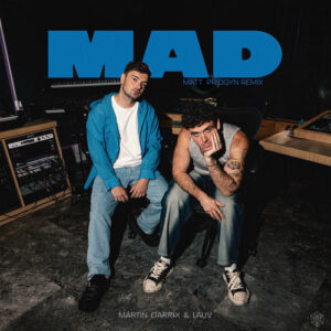 MAD (Matt Pridgyn Remix) از Martin Garrix