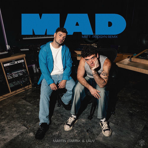 MAD (Matt Pridgyn Remix) از Martin Garrix