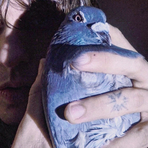 Love How It Feels از Elias Rønnenfelt