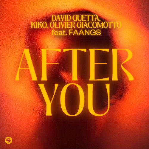 After You (feat. FAANGS) از David Guetta