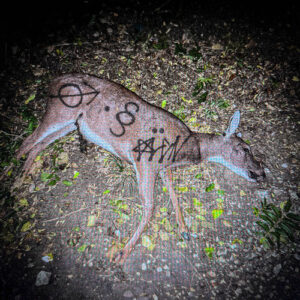 crocodile eyes از aldn