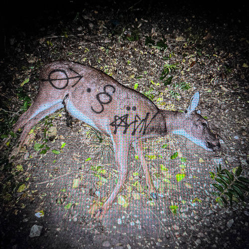 crocodile eyes از aldn