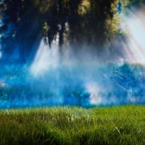 Midnight Sun از Zara Larsson