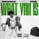 What You Is از YoungBoy Never Broke Again