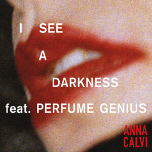 I See A Darkness از Anna Calvi