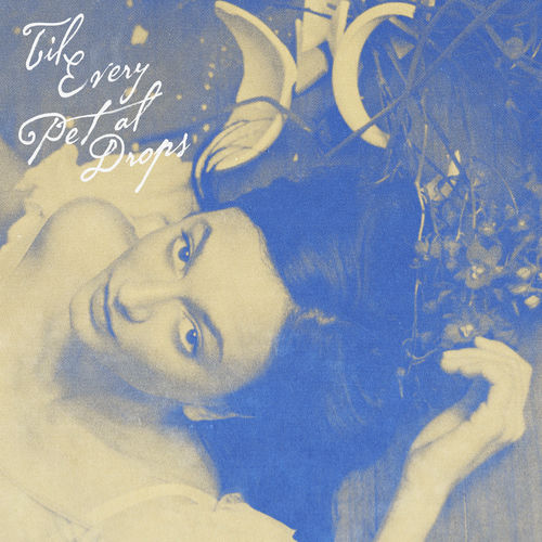Til Every Petal Drops از Daya