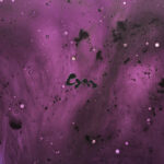 Catch Me If You Can از C.Y.M.