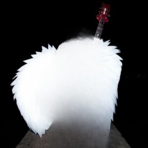 Winner از Meg Smith