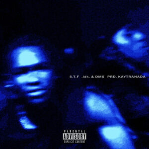 START TO FiNiSH - S.T.F از IDK