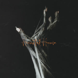 HAUNTED HOUSE از Aviva