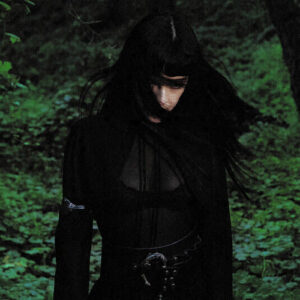 Swan از Not For Radio