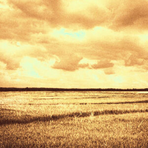 where it all started از MoonDeity