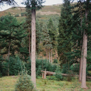 Lake Run Drive از The Man The Myth The Meatslab