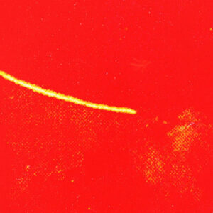 defense از Monte Booker