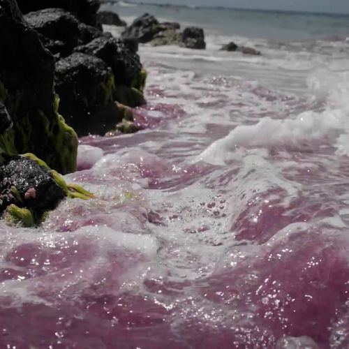 Not So Virgo of You از LUCKI