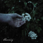 Charming از Genevieve Stokes