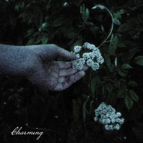 Charming از Genevieve Stokes