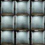 Bodyology II از Snow Wife