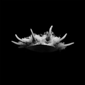 FEEL NOTHING (RESET) از The Plot In You