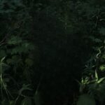 I Knew از Lydia Kenny