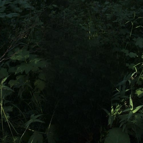 I Knew از Lydia Kenny