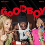 Goodboy (Kweku) از Mellissa