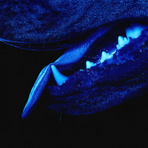 Paradise Runner از Overmono