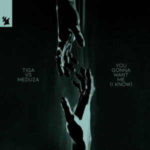 You Gonna Want Me (I Know) از Tiga