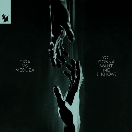 You Gonna Want Me (I Know) از Tiga