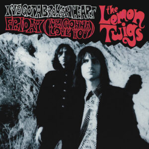 I've Got A Broken Heart از The Lemon Twigs