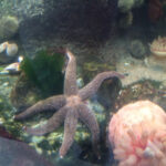 spearmint از girlsweetvoiced