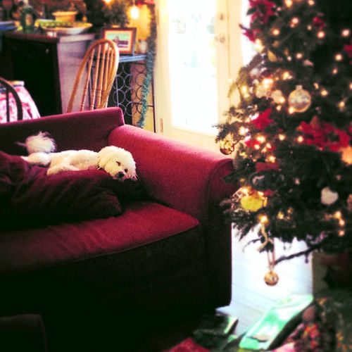 The Holiday از Sydney Rose