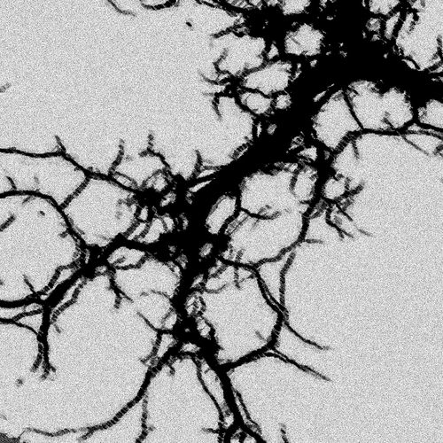 the world will never be the same از MoonDeity