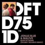 Edge of Desire (Franky Rizardo Remix) از Jonas Blue