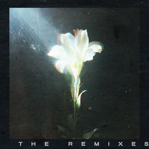 Light That Leads Me (The Remixes) از Netsky