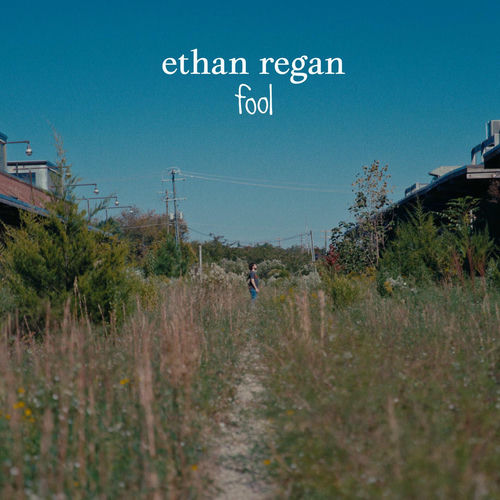 fool از Ethan Regan