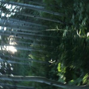 Bandaida از Lydia Kenny