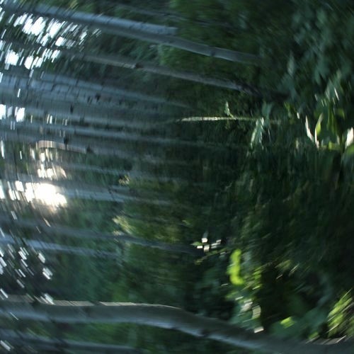 Bandaida از Lydia Kenny