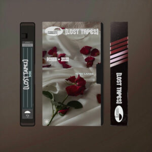 Roses (Lost Tapes 2022) از Tory Lanez