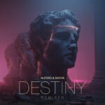 Destiny (HILLS Remix) از Alesso