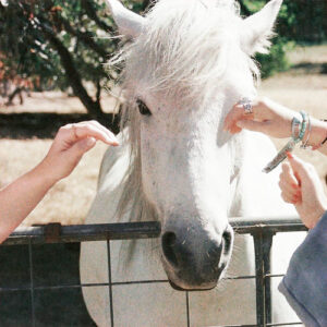 Lay Me Down Here از Them & I