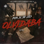 Por Si Se Les Olvidaba (Remix) از Alex Torres