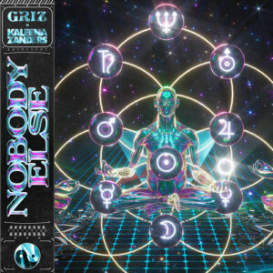 Nobody Else (with Kaleena Zanders) از GRiZ