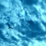 Leaning on You از Blanket